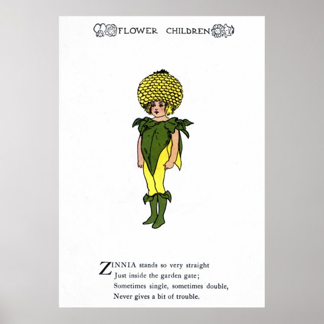 Póster Zinnia (Frente)