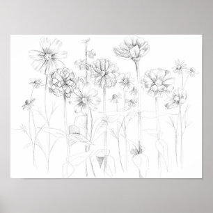 Poster Zinnia Cosmos Flores Botânicas De Desenho
