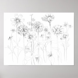 Poster Zinnia Cosmos Flores de Lápis Botânicas De Desenho
