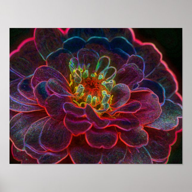 Póster Zinnia Fantasy Abstrato Flower Art (Frente)