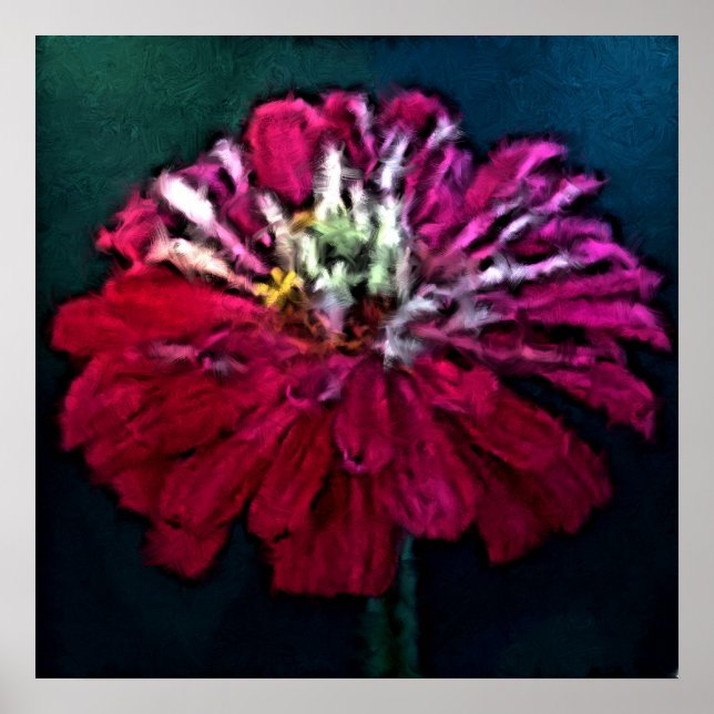 Poster Zinnia Feathered (Frente)