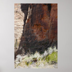 Póster Zion Canyon