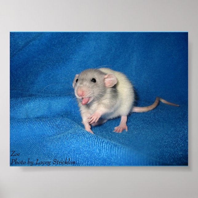 Póster Zoe (Frente)