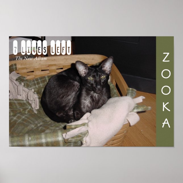 Póster Zooka 2007 (Frente)
