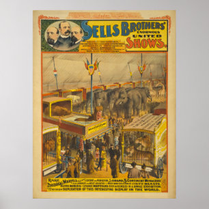 Poster zoológico do circo das maravilhas dos