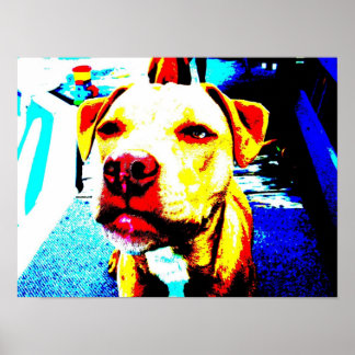 Poster zoom posterizado