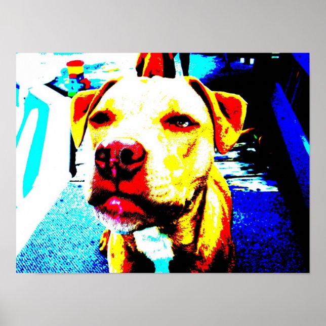 Poster zoom posterizado (Frente)