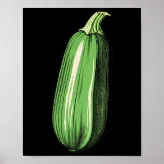 Poster Zucchini Preguiçoso, Engraçado, Correspondente ao 