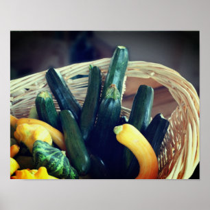 Poster Zucchini Summer Squash Gours Vegetais