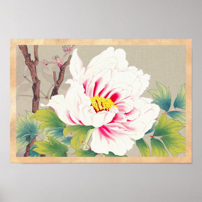 Póster Zuigetsu Ikeda Pink Camellia japanã (Frente)