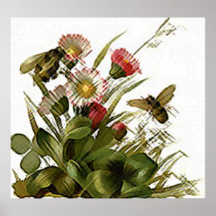 Poster Zumbido Zumbido & Floral