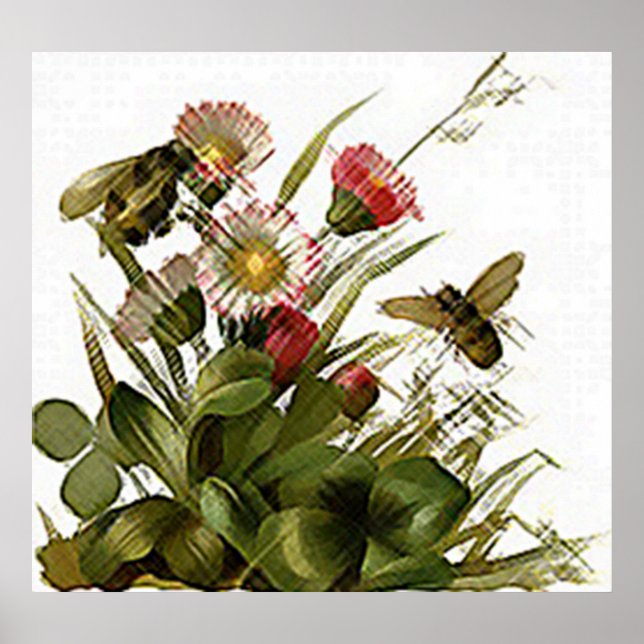 Poster Zumbido Zumbido & Floral (Frente)