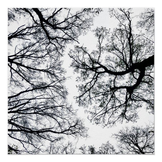 Póster Zwollenaar Fractal (Frente)