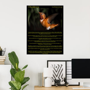 Posters 2 do colibri dos Desiderata