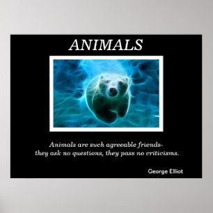 Posters 32 dos animais