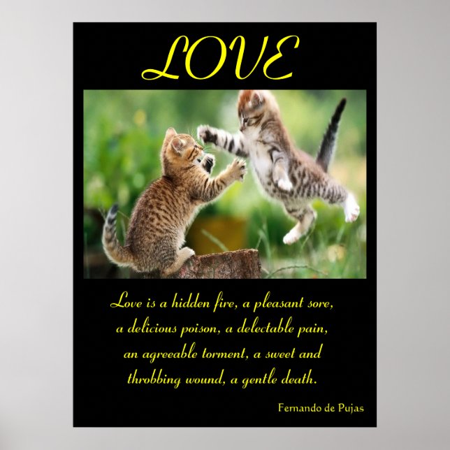 POSTERS AMOR Animal 3 (Frente)