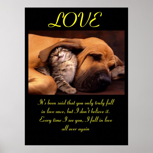 POSTERS AMOR Animal 3 (Frente)