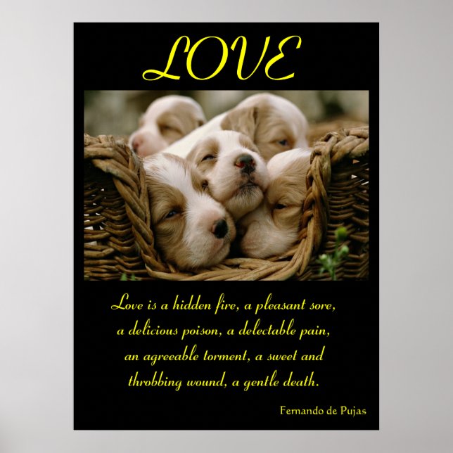 POSTERS AMOR Animal 4 (Frente)