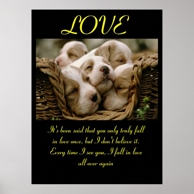 POSTERS AMOR Animal 5 (Frente)