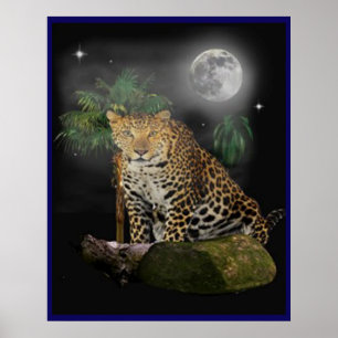 Posters animais