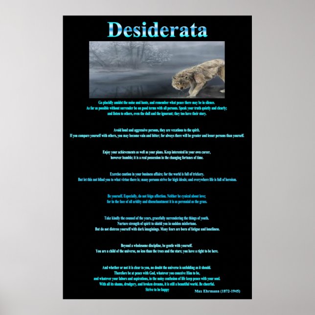 Posters Bebendos de Cinzas Desiderata (Frente)