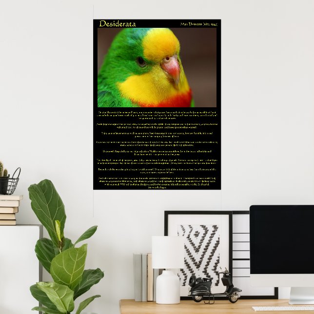 Posters Canárias do Desiderata Rainbow (Escritório em casa)