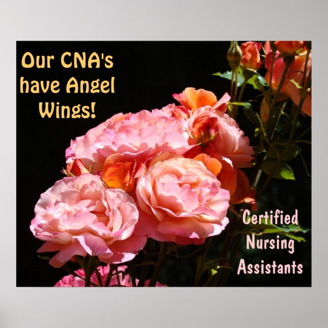 POSTERS CNA Certified Nursing Assistants Angels (Frente)