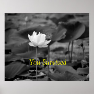 Posters da defesa da violência doméstica mim