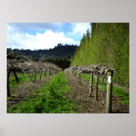 Posters da Nova Zelândia