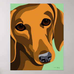Posters Dachshund