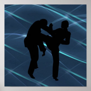 Posters das artes marciais