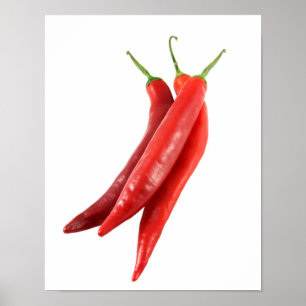 Posters das pimentas de pimentão vermelho