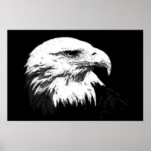 Posters de Águia Bald Poster Impressão Eagles BW A