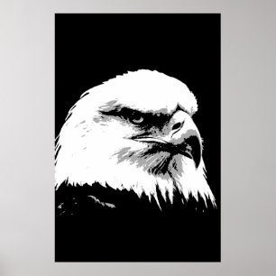 Posters de Águia Bald Poster Impressão Eagles BW A