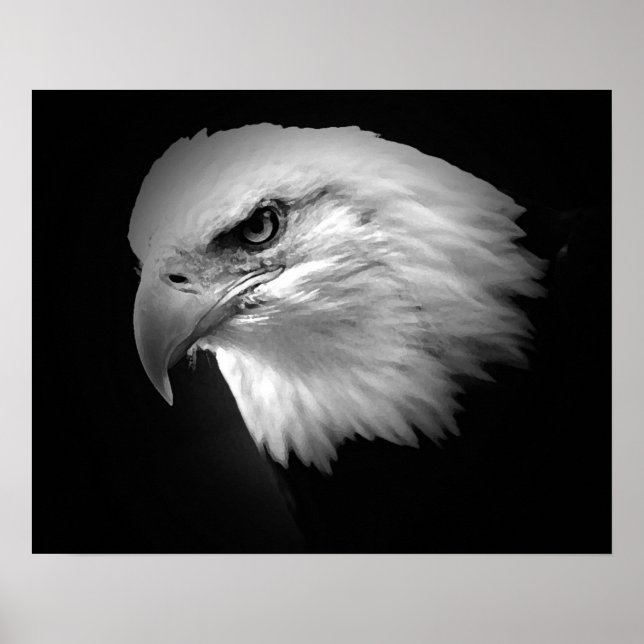 Posters de Águia Bald Poster Impressão Eagles BW A (Frente)