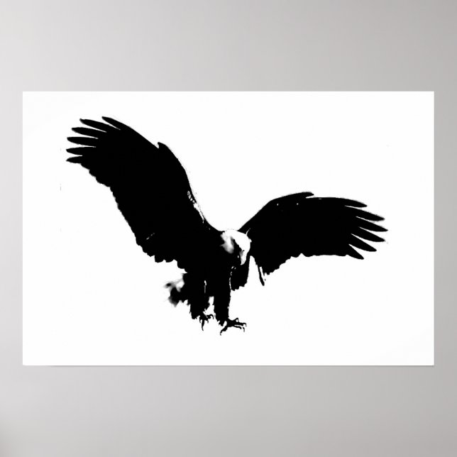 Posters de Águia Poster BW Eagles da América Balda (Frente)