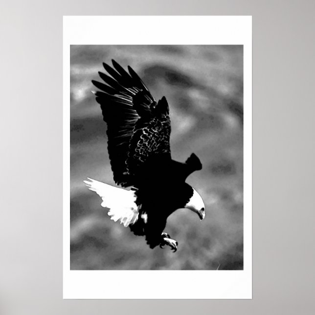 Posters de Águia Poster BW Eagles da América Balda (Frente)