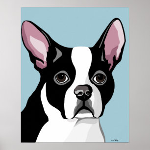 Posters de Boston Terrier
