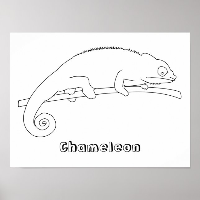 Posters de Desenho de Contorno do Chameleon (Frente)