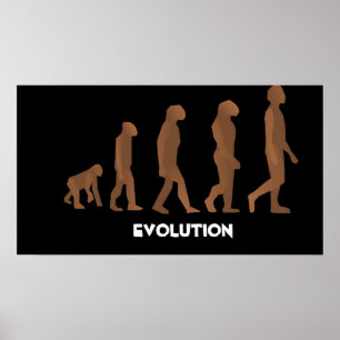 Posters de Evolução
