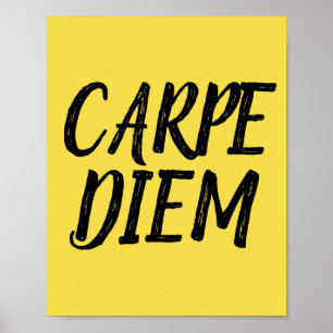 POSTERS de Motivação CARPE DIEM