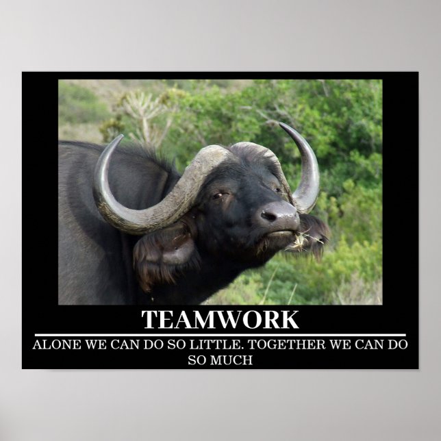 Posters de Motivação Trabalho em equipe Buffalo (Frente)