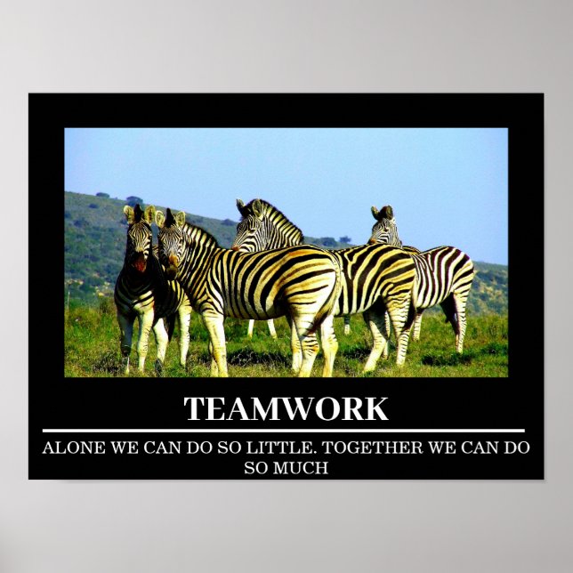 Posters de Motivação  Zebra Trabalho em equipe (Frente)