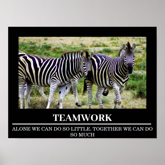 Posters de Motivação  Zebra Trabalho em equipe (Frente)