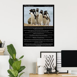 Posters de passeio dos pinguins dos Desiderata