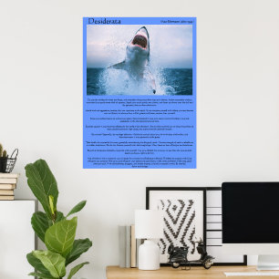 Posters de salto do tubarão dos Desiderata
