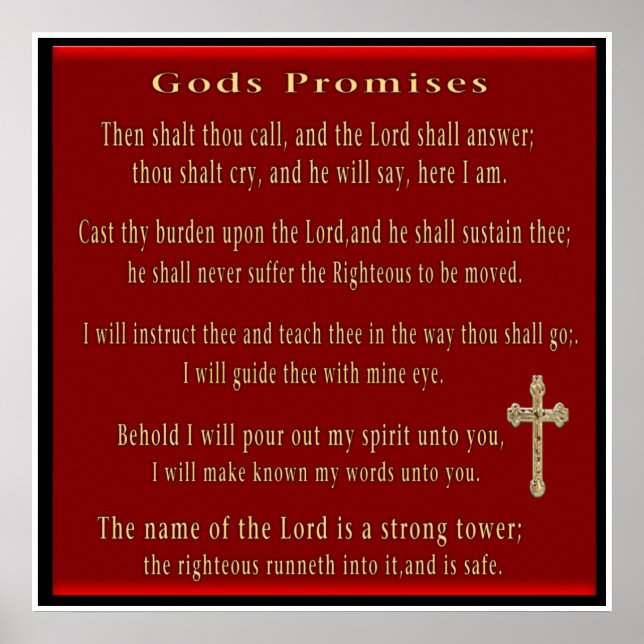 posters de script (Frente)