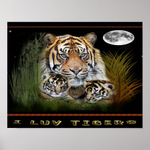 posters de tigre e filhotes