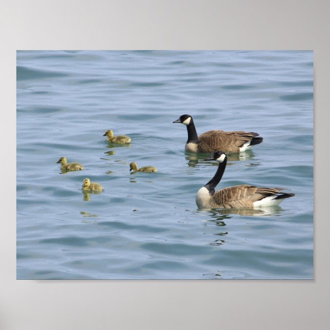 Posters decorativos (Frente)