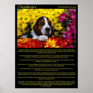 Posters do Beagle do Desiderata